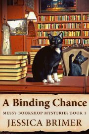 A Binding Chance - Brimer Jessica
