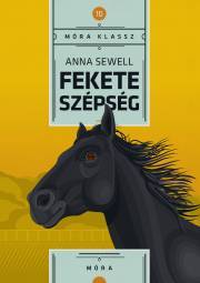 Kniha Fekete szépség - Anna Sewell