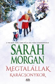 Kniha Megtalállak karácsonykor - Sarah Morgan