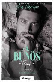 Kniha A bűnös - Ava Harrison