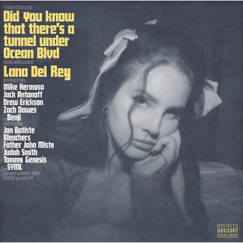 Kniha Del Rey, Lana - Did You Know That There's A Tunnel Under Ocean Blvd 2LP