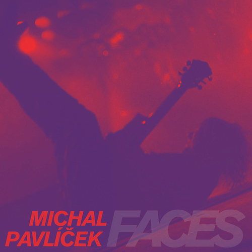 Kniha Pavlíček Michal - Faces 4LP
