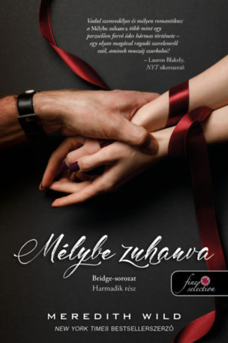 Kniha Bridge 3.: Mélybe zuhanva - Wild Meredith