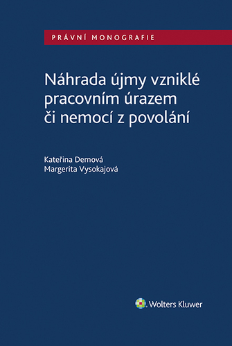 Kniha Náhrada újmy vzniklé pracovním úrazem či nemocí z povolání - Kolektív autorov