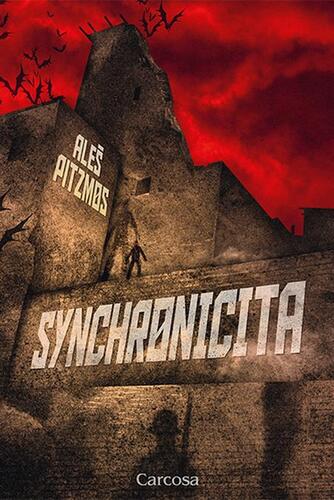 Kniha Synchronicita - Aleš Pitzmos