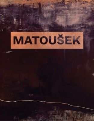 Kniha Martin Matoušek. Průhledy. Glimpses - Karel Srp