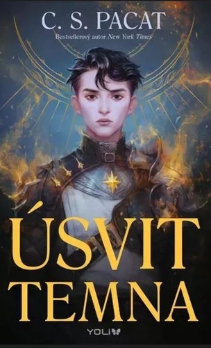 Kniha Úsvit temna