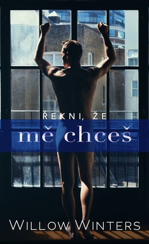 Kniha Řekni, že mě chceš