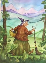 Kniha Boróka világa - Fecske László