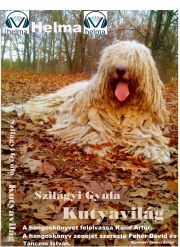 Kniha Kutyavilág - Gyula Varga-Szilágyi