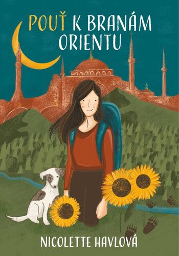 Kniha Pěšky do Istanbulu