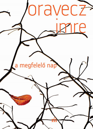 A megfelelő nap - Imre Oravecz