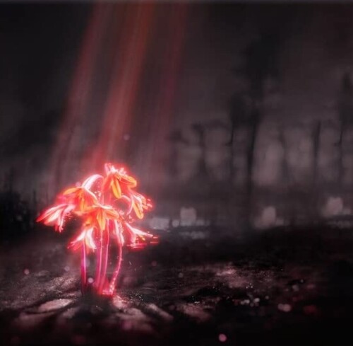 Kniha Enter Shikari - A Kiss For The Whole World CD