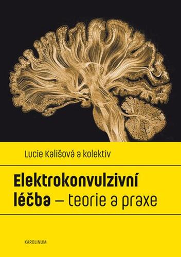 Kniha Elektrokonvulzivní léčba – teorie a praxe - Lucie Kališová a kolektiv