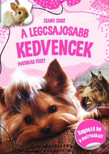 Kniha A legcsajosabb kedvencek - matricás füzet - Zsolt Szabó