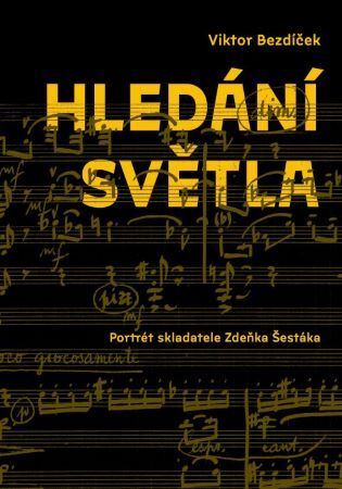 Kniha Hledání světla - Viktor Bezdíček