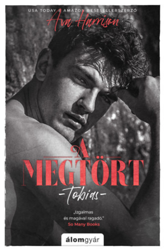 Kniha A megtört - Tobias - Ava Harrison