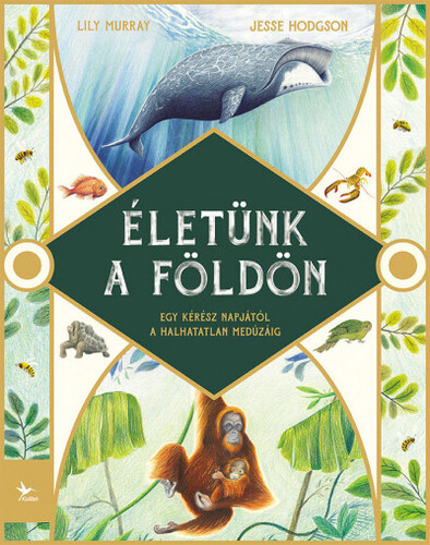 Kniha Életünk a Földön - Jesse Hodgson,Lily Murray