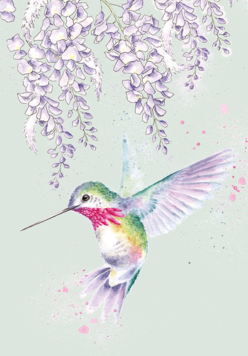 Zápisník A6 linajkový "Wisteria Wishes" Wrendale Designs – kolibrík