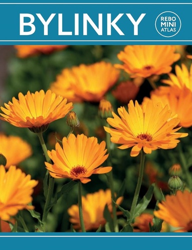 Kniha Bylinky miniatlas