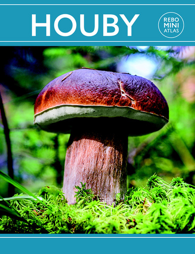 Kniha Houby miniatlas
