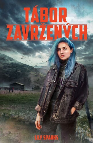 Kniha Tábor zavržených - Lily Sparks