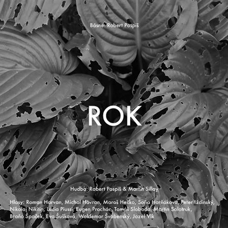 Kniha Rok - Róbert Pospiš