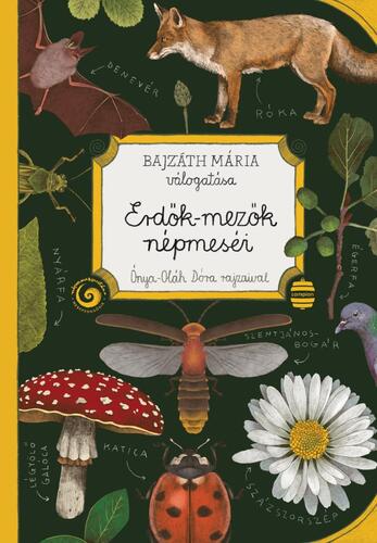 Erdők-mezők népmeséi - Mária Bajzáth