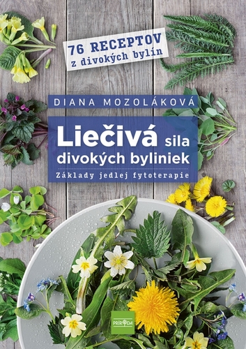 Liečivá sila divokých byliniek: Základy jedlej fytoterapie