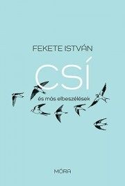 Kniha Csí és más elbeszélések - István Fekete