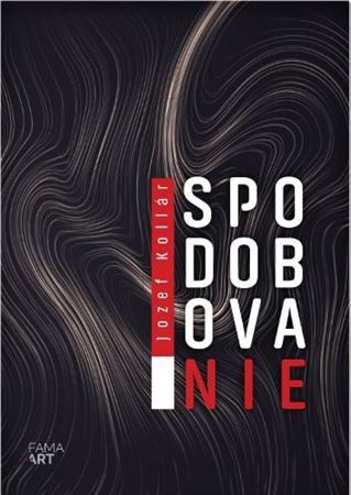 Kniha Spodobovanie