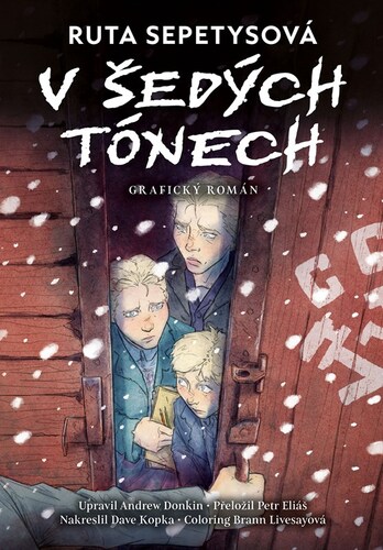 Kniha V šedých tónech - grafický román