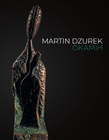 Kniha Martin Dzurek okamih