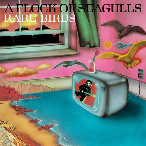 Kniha A Flock Of Seagulls - Rare Birds: B-Sides, Edits And Alternate Mixes LP