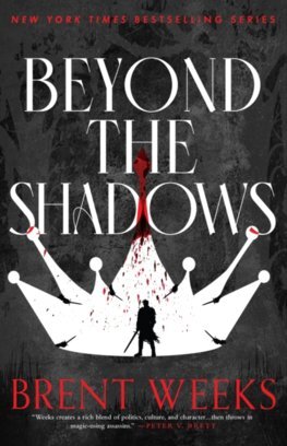 Kniha Beyond The Shadows