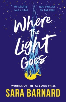 Where the Light Goes - Sara Barnard
