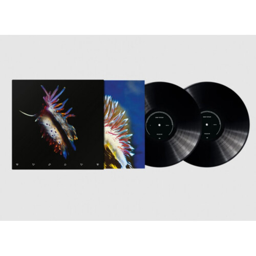 Kniha Sub Focus - Evolve 2LP