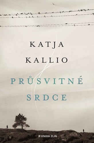 Kniha Průsvitné srdce - Katja Kallio