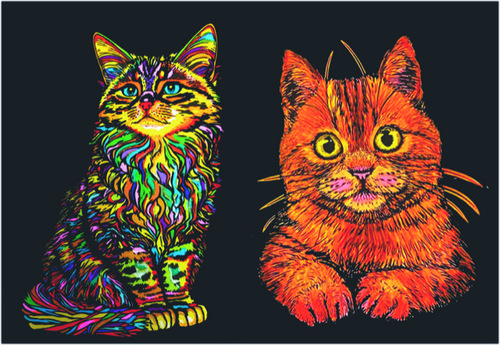 Colorvelvet zamatový zápisník A5 Mačka