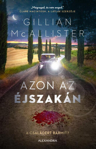 Kniha Azon az éjszakán - Gillian McAllister