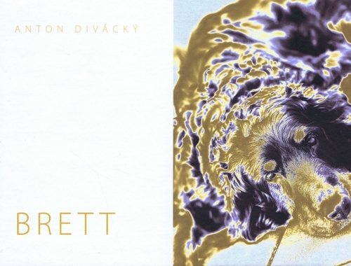 Kniha Brett