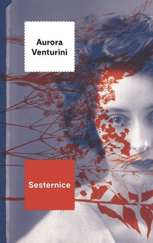 Kniha Sesternice - Aurora Venturini
