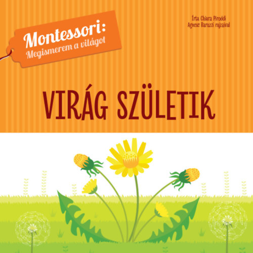 Kniha Virág születik - Montessori: Megismerem a világot - Chiara Piroddi
