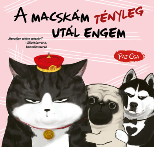 Macska és Kutya 2: A macskám tényleg utál engem - Paj Csa,Edit Molnár