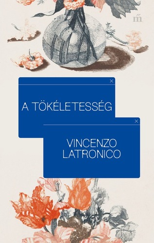 Kniha A tökéletesség - Vincenzo Latronico,Anna Todero