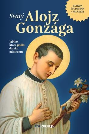 Kniha Svätý Alojz Gonzága - Alois Hrudička