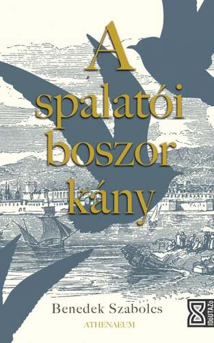 Kniha A spalatói boszorkány - Szabolcs Benedek