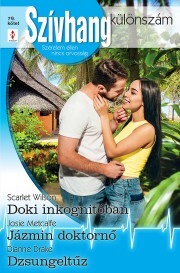 Szívhang különszám 79. - Drake Dianne,Metcalfe Josie,Wilson Scarlet
