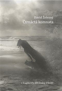Kniha Čtrnáctá komnata