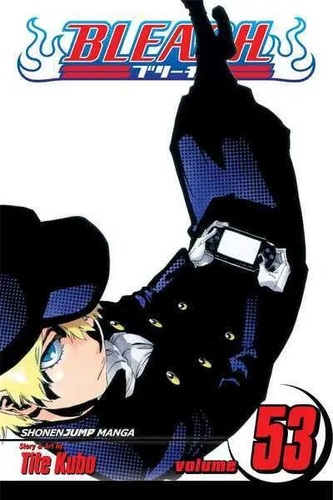 Bleach 53: The Deathberry Returns 2